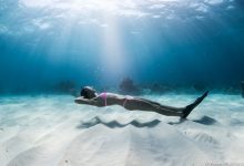 Photo of Основы школы фридайвинга