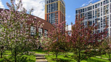 Photo of Особенности застройки в современном урбанистическом пространстве